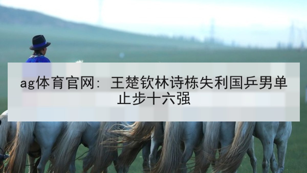 ag体育官网: 王楚钦林诗栋失利国乒男单止步十六强