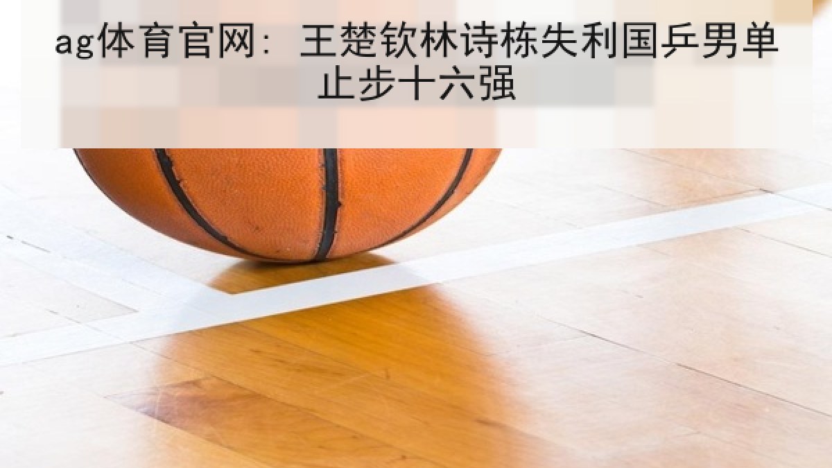 ag体育官网: 王楚钦林诗栋失利国乒男单止步十六强