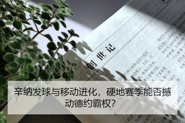 xin-na-fa-qiu-yu-yi-dong-jin-hua-ying-di-sai-ji-neng-fou-han-dong-de-yue-ba-quan-2-235.jpg
