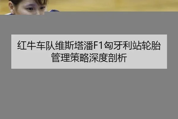 红牛车队维斯塔潘F1匈牙利站轮胎管理策略深度剖析